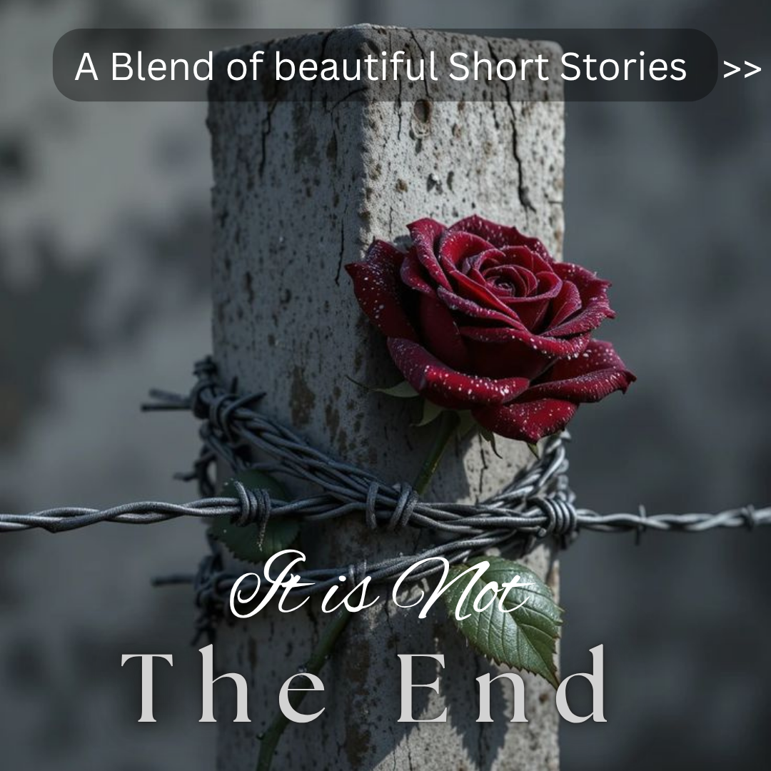 Cover image of It is Not The End